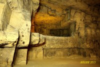 /album/fotogalerie-akce-2015/objekt-c-1015-makropode-valerie-21-jpg/